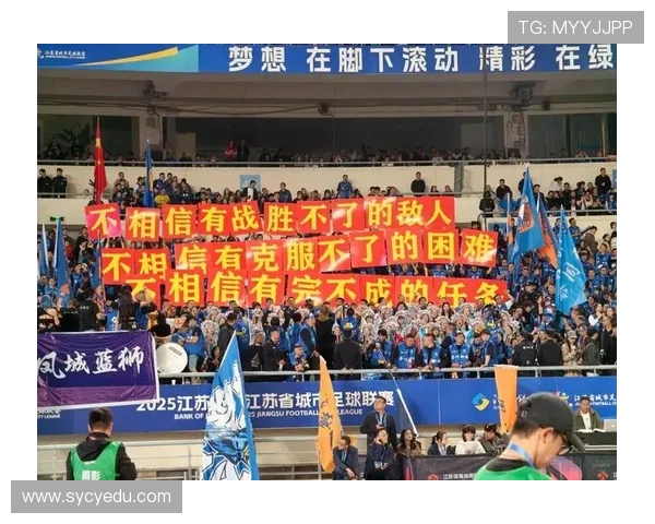 苏超经济效应揭秘：从 30 万收益到 3 亿产值，草根赛事如何撬动财富杠杆？(3)